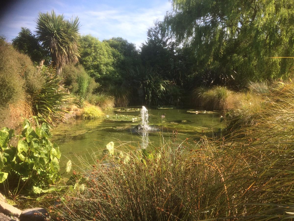 כרייסטצ'רץ' The Meadows Villa מראה חיצוני תמונה